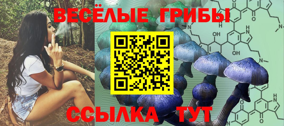 Михайловск  Псилоцибиновые грибы Psilocybine cubensis  Вход с VPN  Галлюциногенные грибы Cubensis 