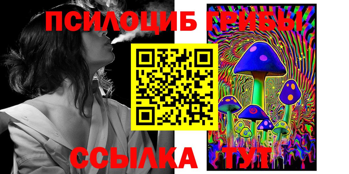 Псилоцибиновые грибы Psilocybe Михайловск